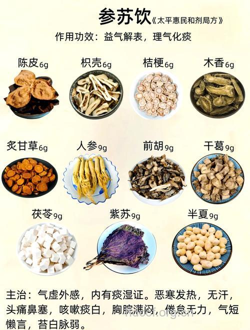 参苏饮的组成及作用