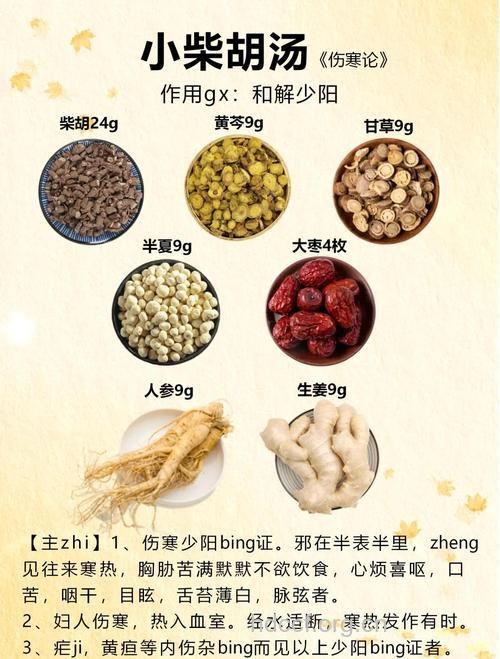 什么是和法与小柴胡汤