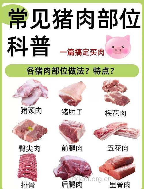 肉类最不能吃的八个部位