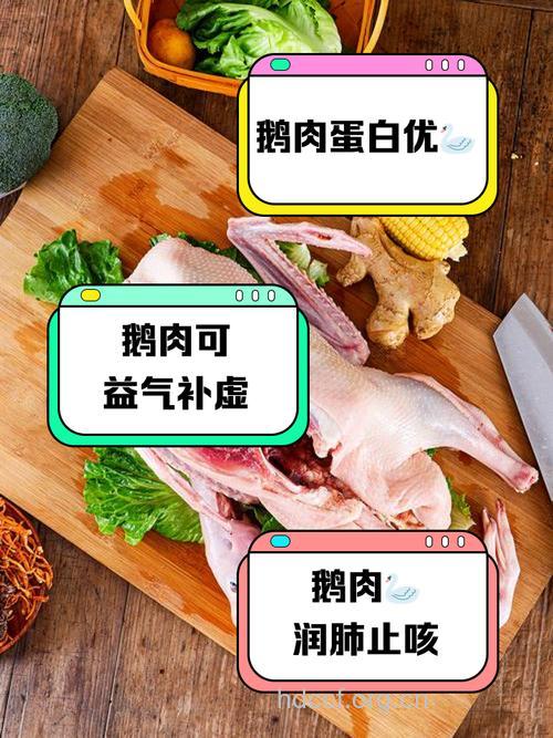坐月子吃什么|坐月子可以吃鹅肉吗