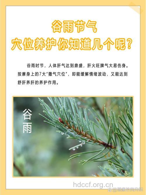 谷雨养生应该注意养肝