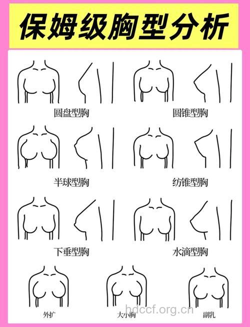 女性乳房标准的形状是什么
