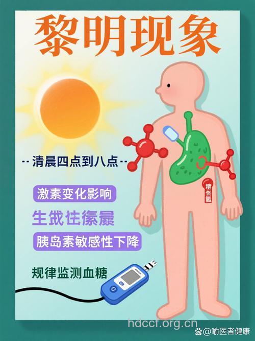糖友们注意“黎明现象”