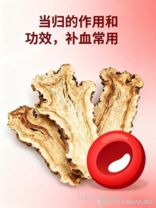 常见治病补血的9种中药材