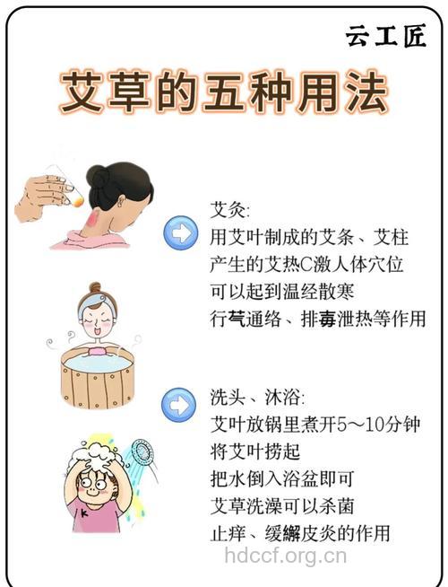 中药艾叶治病养生的用法