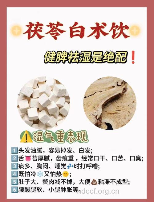 去体内湿气 茯苓白术煮水喝