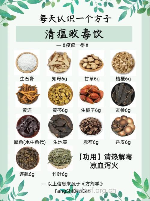 H7N9的症状及中药预防方法