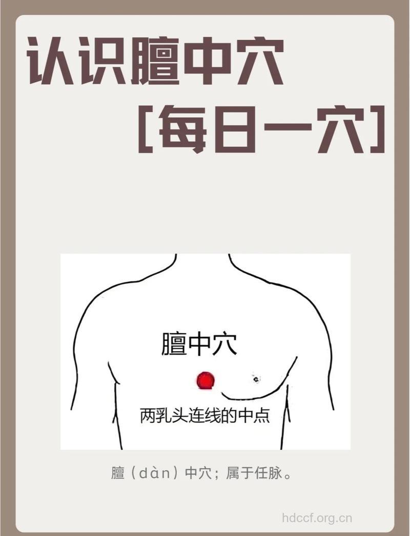 春季养肝按摩膻中穴位