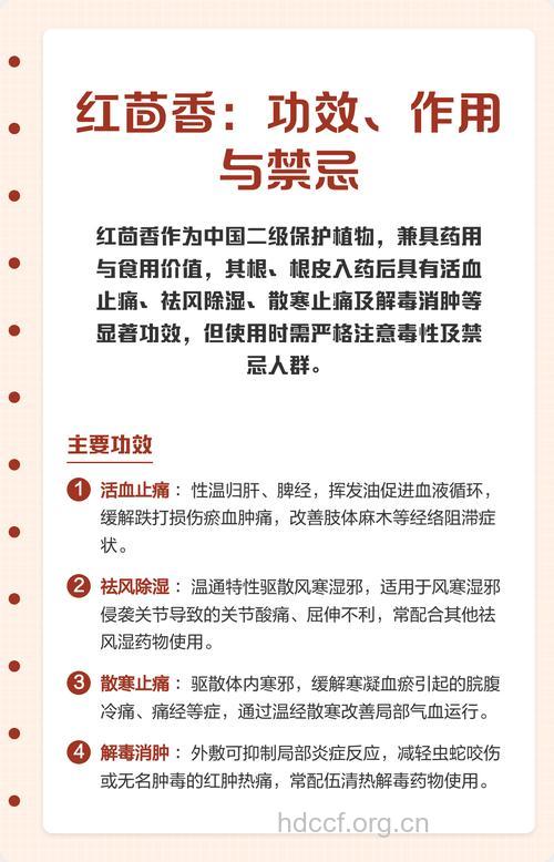 茴香的药用功效