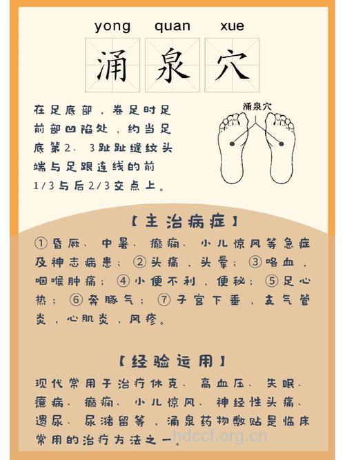 怎么用中药敷贴涌泉穴治疗疾病