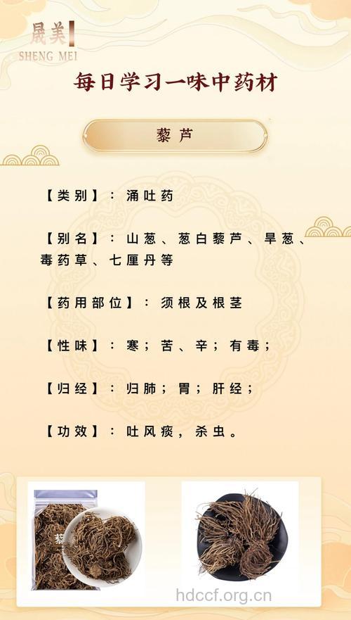 哪些中药秘方治疗呕吐
