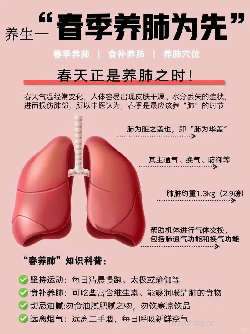 中医：春季如何调理肺脏？