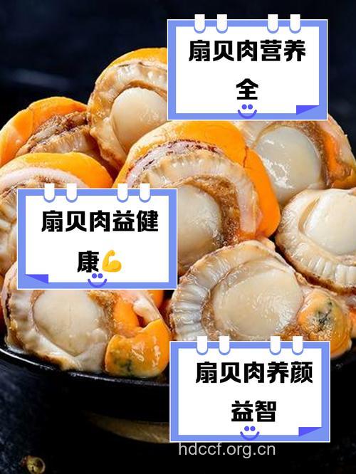 坐月子吃什么|坐月子可以吃扇贝吗