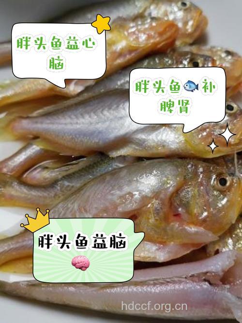 坐月子吃什么|坐月子可以吃胖头鱼吗