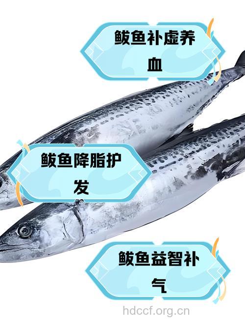 坐月子吃什么|坐月子可以吃鲅鱼吗