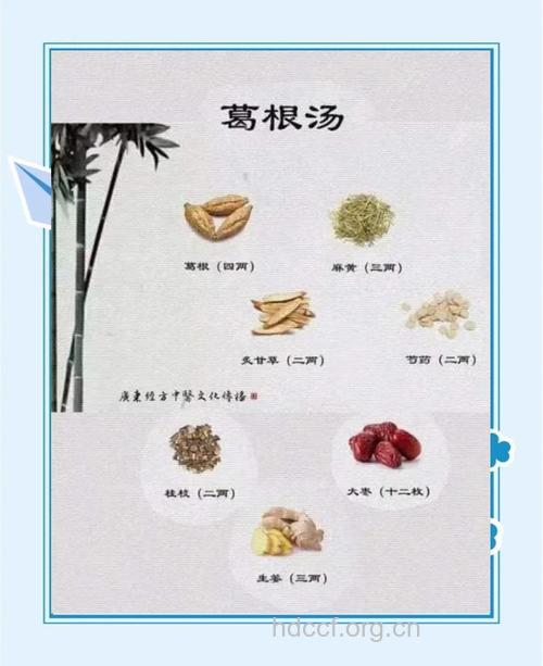 颈椎病疗方：葛根木瓜汤