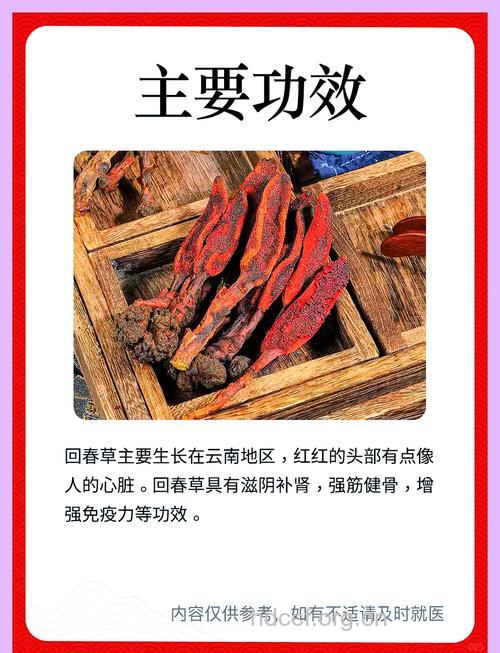 知否提到的回春是什么 是毒药还是补药
