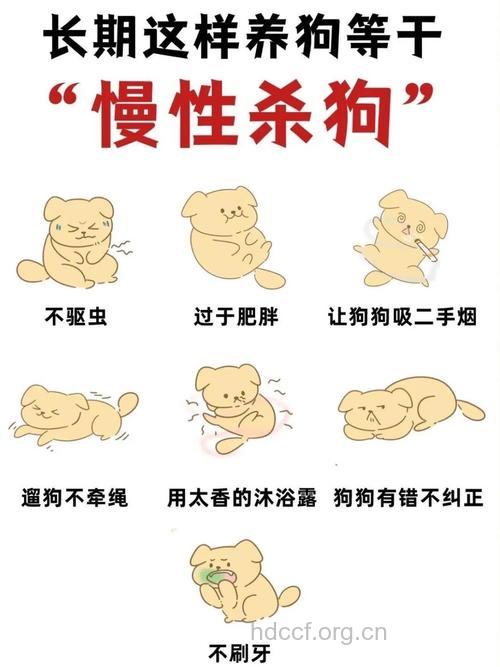 杀狗告示：糖尿病是托词吗？