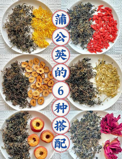 怎么吃蒲公英养生效果好 搭配这3种食材