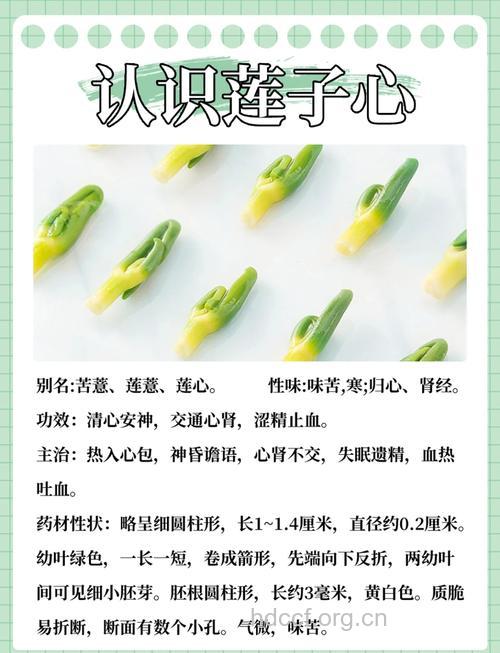 夏季可多吃莲子心 清热又降压