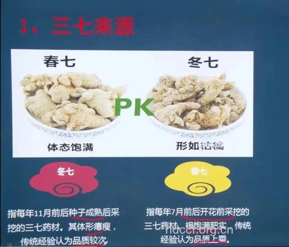 三七粉和三七花的区别是什么