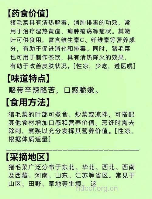 解惑：使用猪毛菜有何注意事项