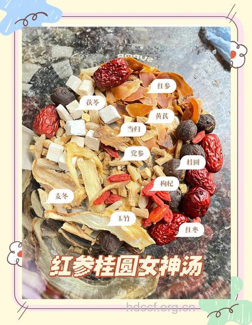 补气补血 推荐5种中药材