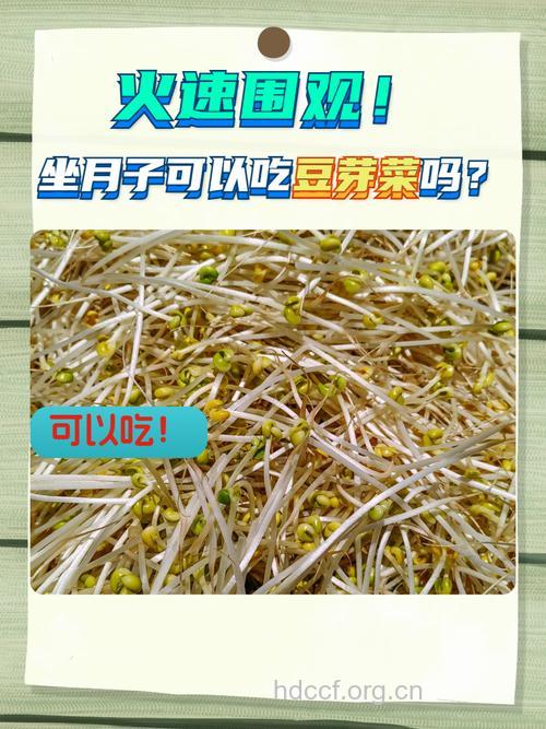 坐月子吃什么|坐月子可以吃豆芽吗