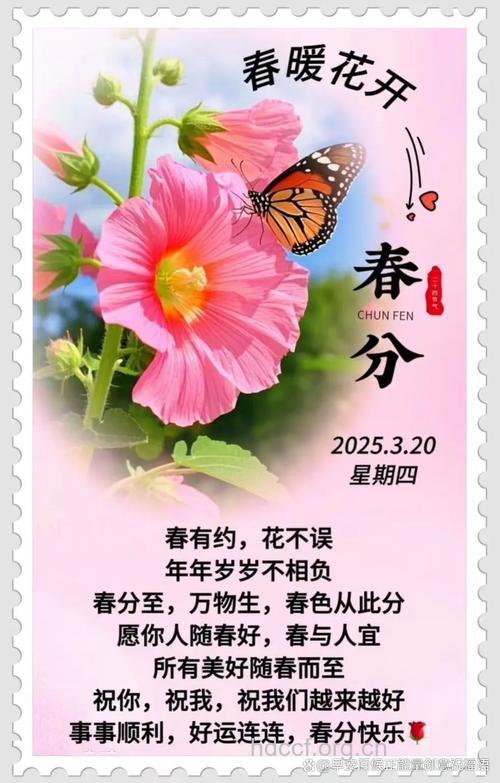 2012春分养生祝福语大全