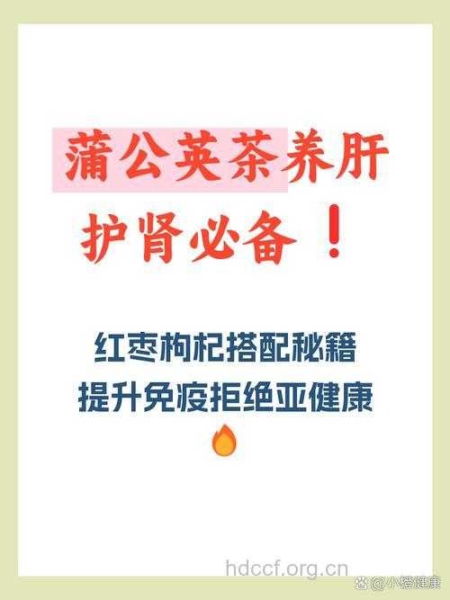 蒲公英能和枸杞泡水喝吗 蒲公英枸杞茶的作用