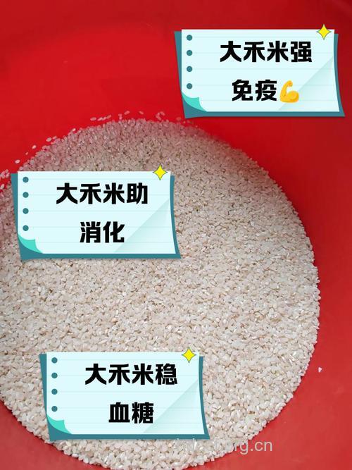 坐月子可以吃稻米吗