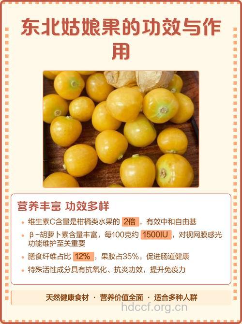 姑娘果是否有副作用 盘点姑娘果的功效