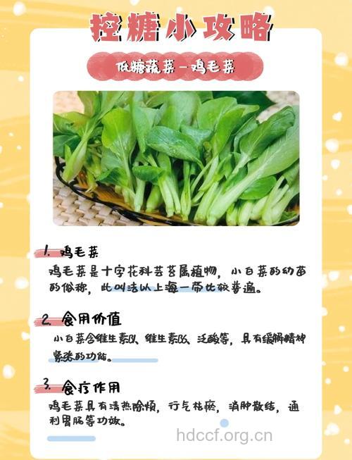 鸡毛菜的功效与作用【图】