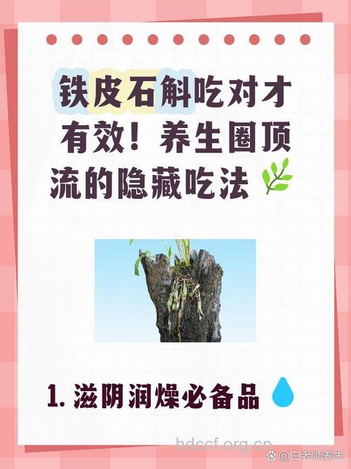 铁皮石斛是软黄金 铁皮石斛怎么食用