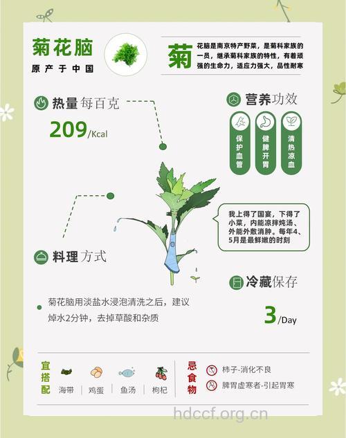 菊花脑的禁忌有哪些 专家:暂无禁忌
