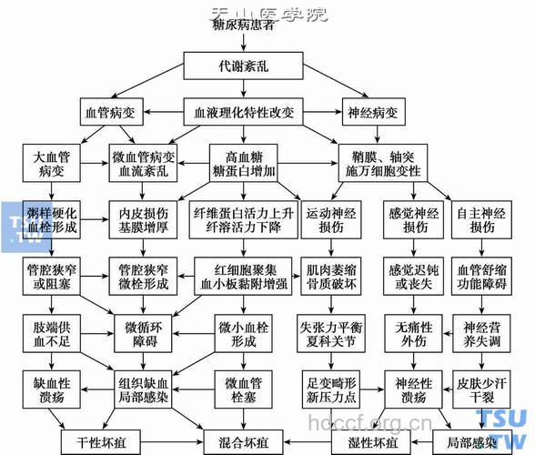 西医关于糖尿病足发病机理的研究