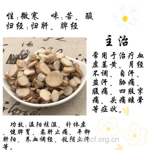 炒白芍的功效与作用【图】
