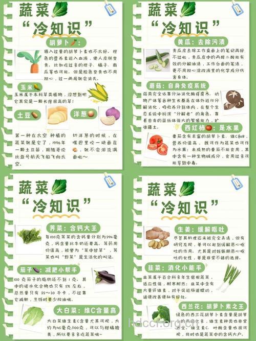吃蔬菜的九大注意事项