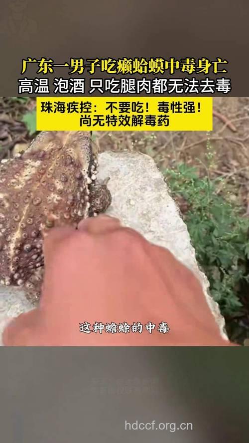 蛤蟆衣有毒吗 专家:有毒慎用