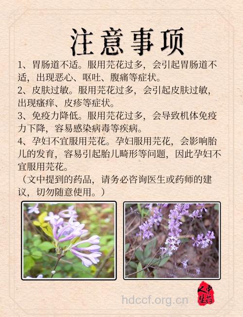 芫花茶的功效与作用【图】