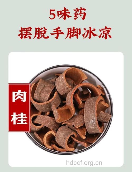 手脚冰凉吃什么药能暖身