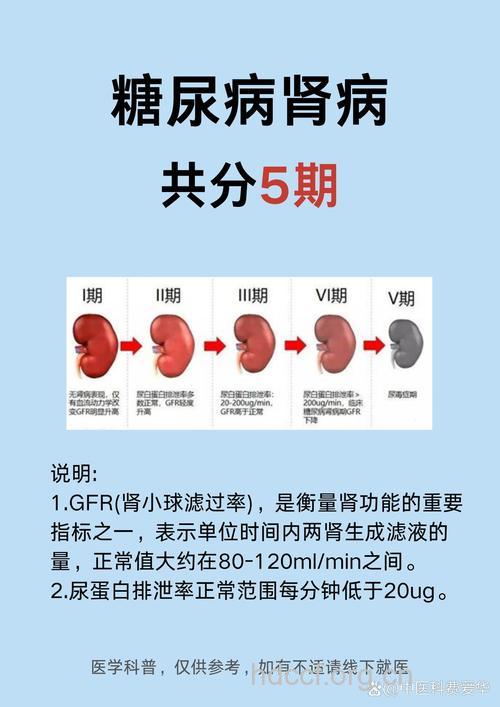 糖尿病肾病可以分为哪几期