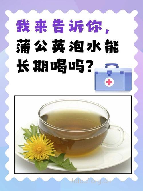 蒲公英泡水能长期喝吗