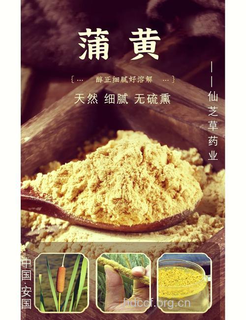 蒲黄花茶的功效与作用【图】