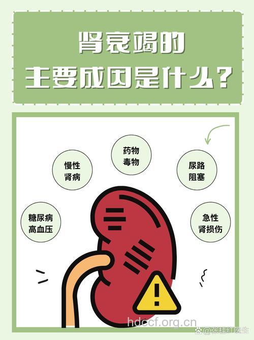 引起肾衰竭的原因