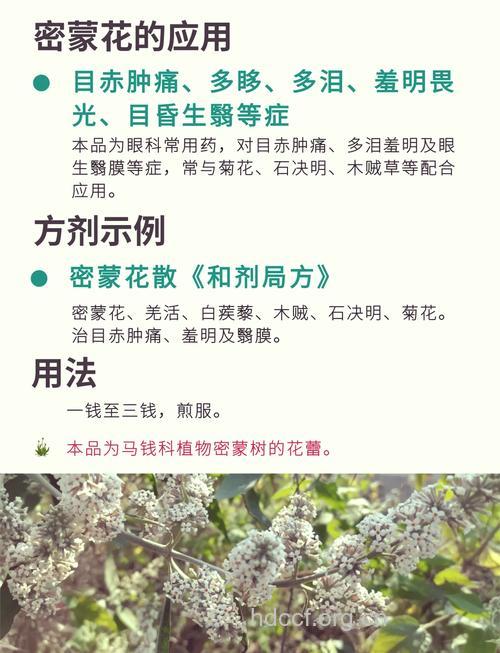 密蒙花茶的功效与作用【图】