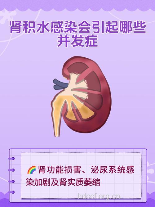 儿童肾积水的危害