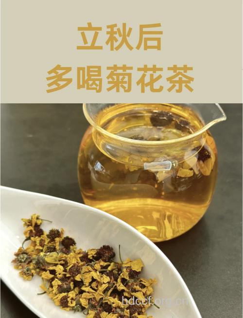 菊花茶的做法【图】