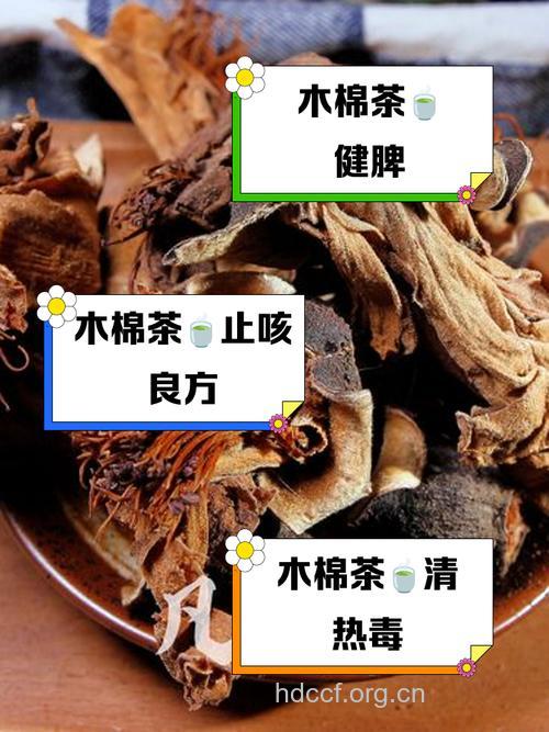 木棉花茶的做法【图】