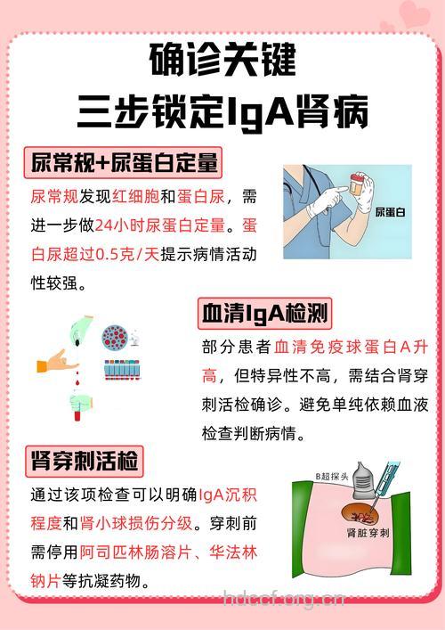 定期尿检,肾病早发现!